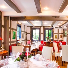 Landhaus Artischocke - Bild 5