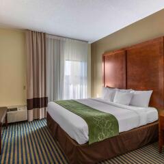 Comfort Suites Leesburg in Leesburg, United States of America from 150$, photos, reviews - zenhotels.com photo 15