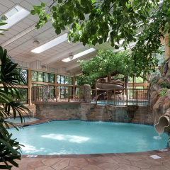 The Park Vista - a DoubleTree by Hilton Hotel - Gatlinburg thumbnail 11