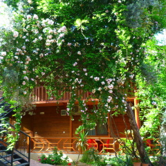 Cirali Simge Holiday Houses - Bild 8