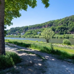 Limehome Trier Nikolaus-Leis-Strasse - Bild 16