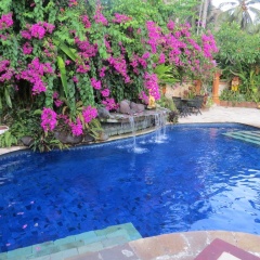 The Watergarden - Bild 11