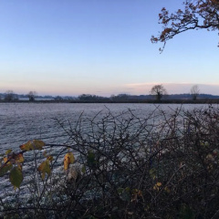 The Orangery B&B thumbnail 14