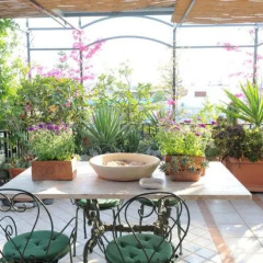 Terrazza Pavone thumbnail 5