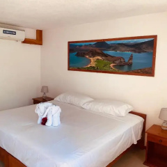 White House Galapagos