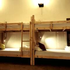 Отель Cohostel Индия, Северный Гоа - отзывы, цены и фото номеров - забронировать отель Cohostel онлайн фото 3