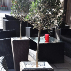 Hotel Hansson - Bild 16