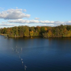 Pension am Lehnitzsee - Bild 9