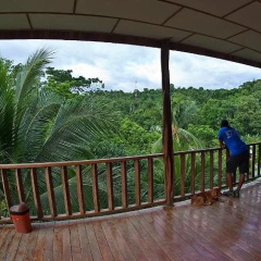 Hakuna Matata Drake Bay Hostel thumbnail 12