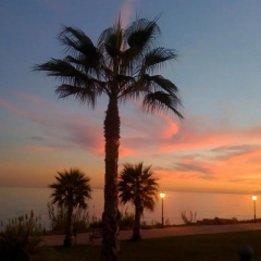 Mar Azul ApartHotel thumbnail 30
