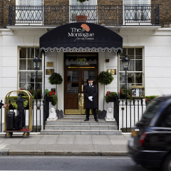 The Montague On The Gardens - Bild 1