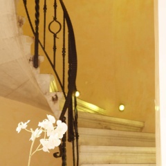 Piraeus Theoxenia Hotel - Bild 14