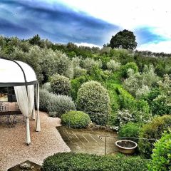 Agriturismo Podere Santa Rita thumbnail 5