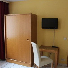 Mainzer Schoppenstecher - Bild 2