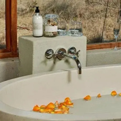 Thandeka Game Lodge & Spa thumbnail 7
