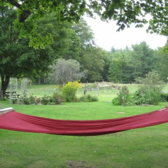 Maple House Bed & Breakfast thumbnail 22