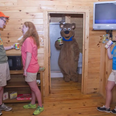 Yogi Bear's Jellystone Park Camp-Resort Wisconsin Dells thumbnail 5