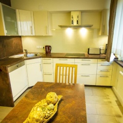 Ringeltaube - Bild 12