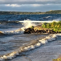 Insel Der Sinne - Bild 12