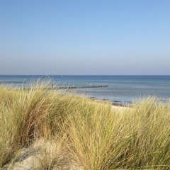 Spacious Apartment near Sea in Wismar - Bild 8
