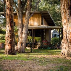 The Burrow At Wombat Bend thumbnail 13