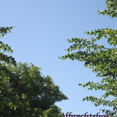 Albrechtshof (Adults Only) - Bild 3