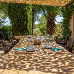 Finca Son Jorbo - Bild 10