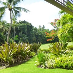 Villa Athena in Rio Grande, Puerto Rico from 463$, photos, reviews - zenhotels.com photo 2