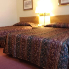 Sunrise Park Resort thumbnail 6