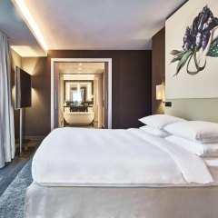 Hyatt Regency Amsterdam thumbnail 4