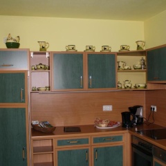 Ferienhaus im Gänseried - Bild 4