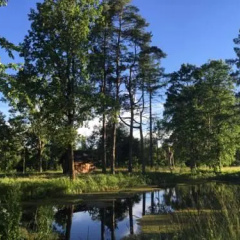 Suurejõe Holiday Center thumbnail 13