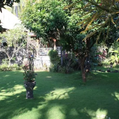 Cleopatra Beach Bungalows - Bild 4