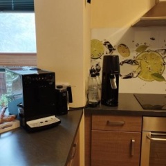 Nichtraucherferienwohnung-Neckarblick - Bild 16