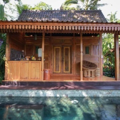 Masakali Retreat - Bild 5