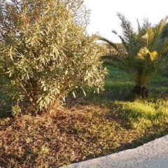 Wumi Finca Porreres - Bild 5