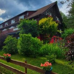 Wald-Landhaus - Bild 1