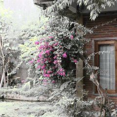 Baleku Senggigi - Bild 13