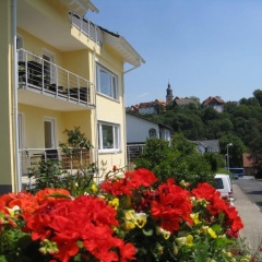 Elevated Apartment in Bad Wildungen with Garden - Bild 4