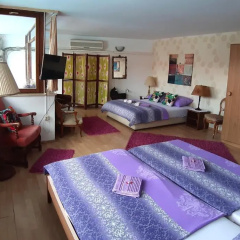 Hostel Pansion Lion thumbnail 2