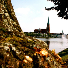 The Avalon Hotel - Bild 13