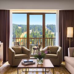 Viceroy Kopaonik Serbia in Kopaonik, Serbia from 125$, photos, reviews - zenhotels.com photo 27