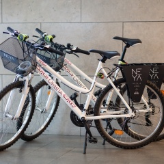 Neya Lisboa Hotel - Bild 6