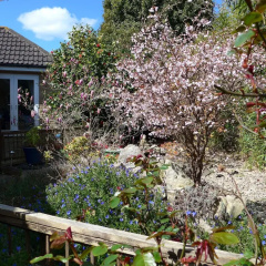 The Olive Tree B&B thumbnail 13