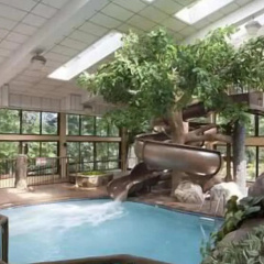 The Park Vista - a DoubleTree by Hilton Hotel - Gatlinburg thumbnail 12