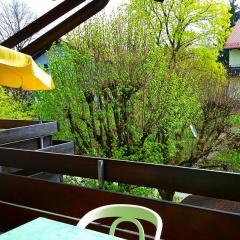 Appartement-Hotel Hölzl - Bild 15