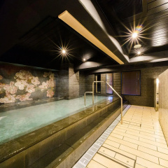 Super Hotel Lohas Ikebukuro-Eki Kitaguchi thumbnail 20