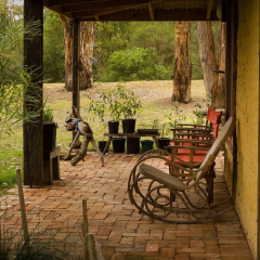 The Burrow At Wombat Bend thumbnail 19
