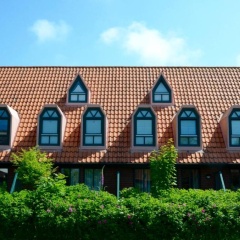 Fh Austernfischer I/Nr. 1 - Bild 1