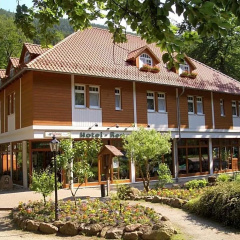 Kurpark im Ilsetal - Bild 8